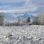 Apartamento Attractive In Near River Zell