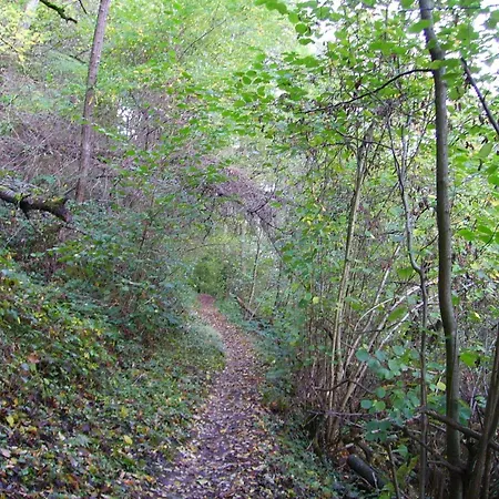 Διαμέρισμα Attractive In Near River