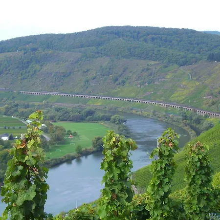 Attractive In Near River * Zell an der Mosel