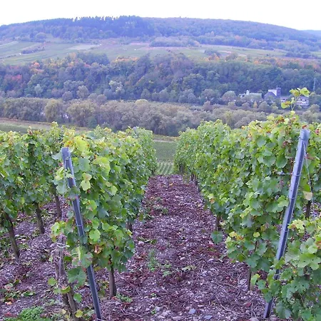 Διαμέρισμα Attractive In Near River Zell an der Mosel