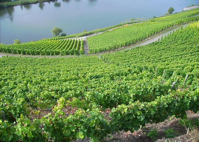 Attractive In Near River Appartement