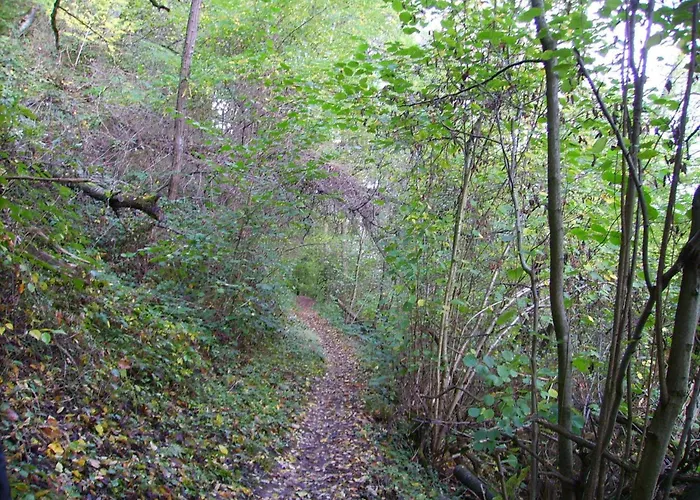 Appartement Attractive In Near River