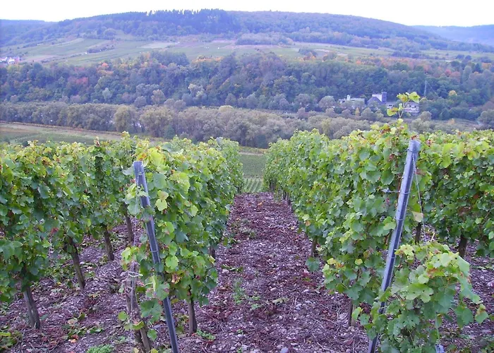 Appartement Attractive In Near River Zell