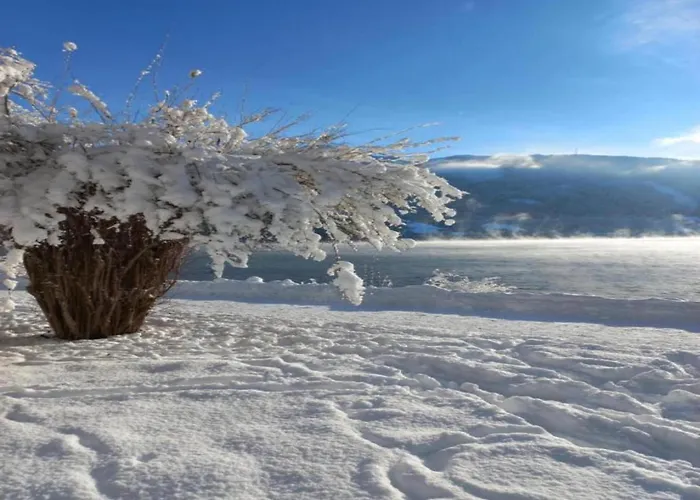 Appartement Attractive In Near River *