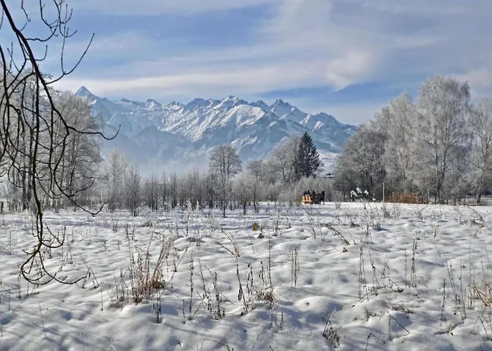 Appartement Attractive In Near River Zell